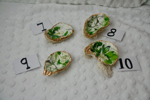Oyster Trinket Dish (Magnolia)