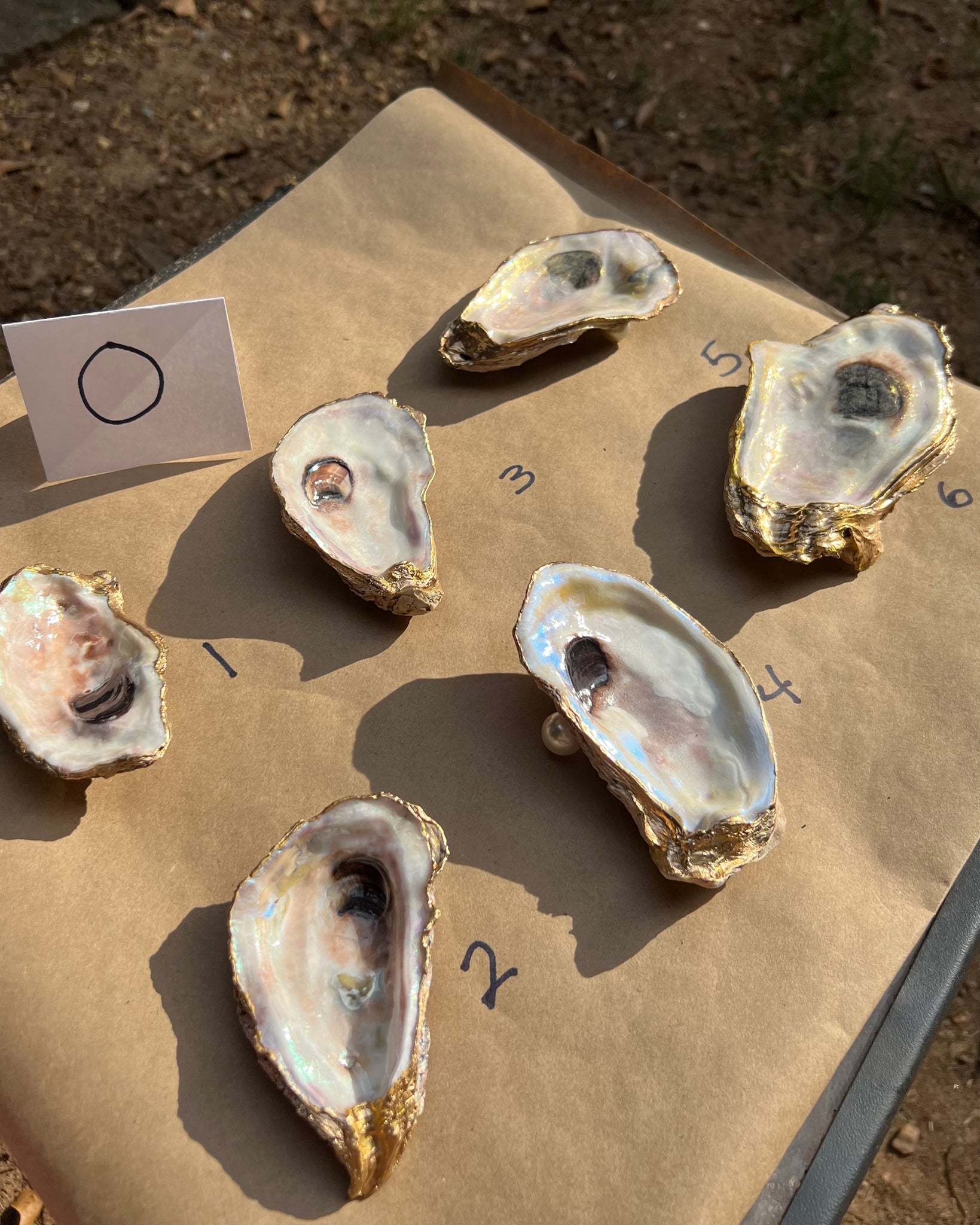 Oyster Trinket Dish