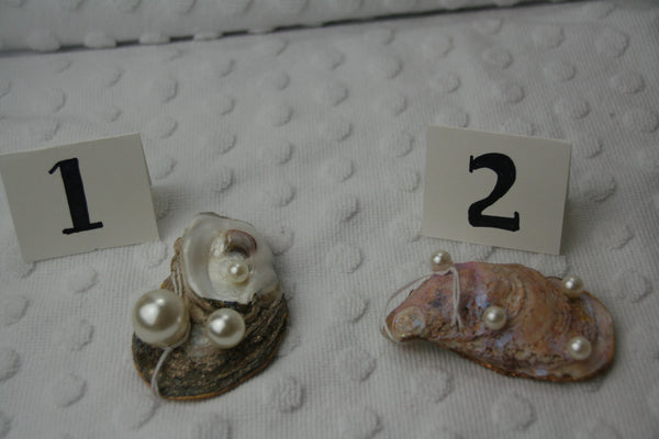 Oyster Trinket Dish (Magnolia)
